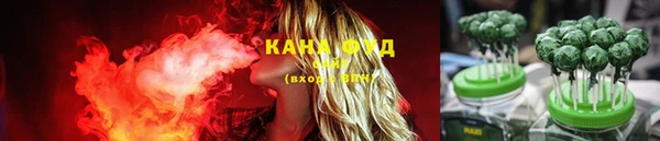 spice Киреевск
